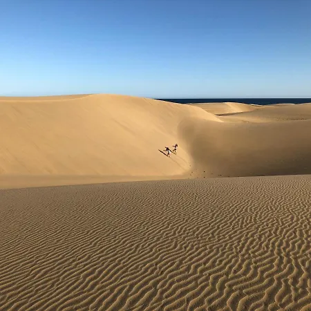 Апартаменты Espectacular En Primera Linea De La Playa Тельде
